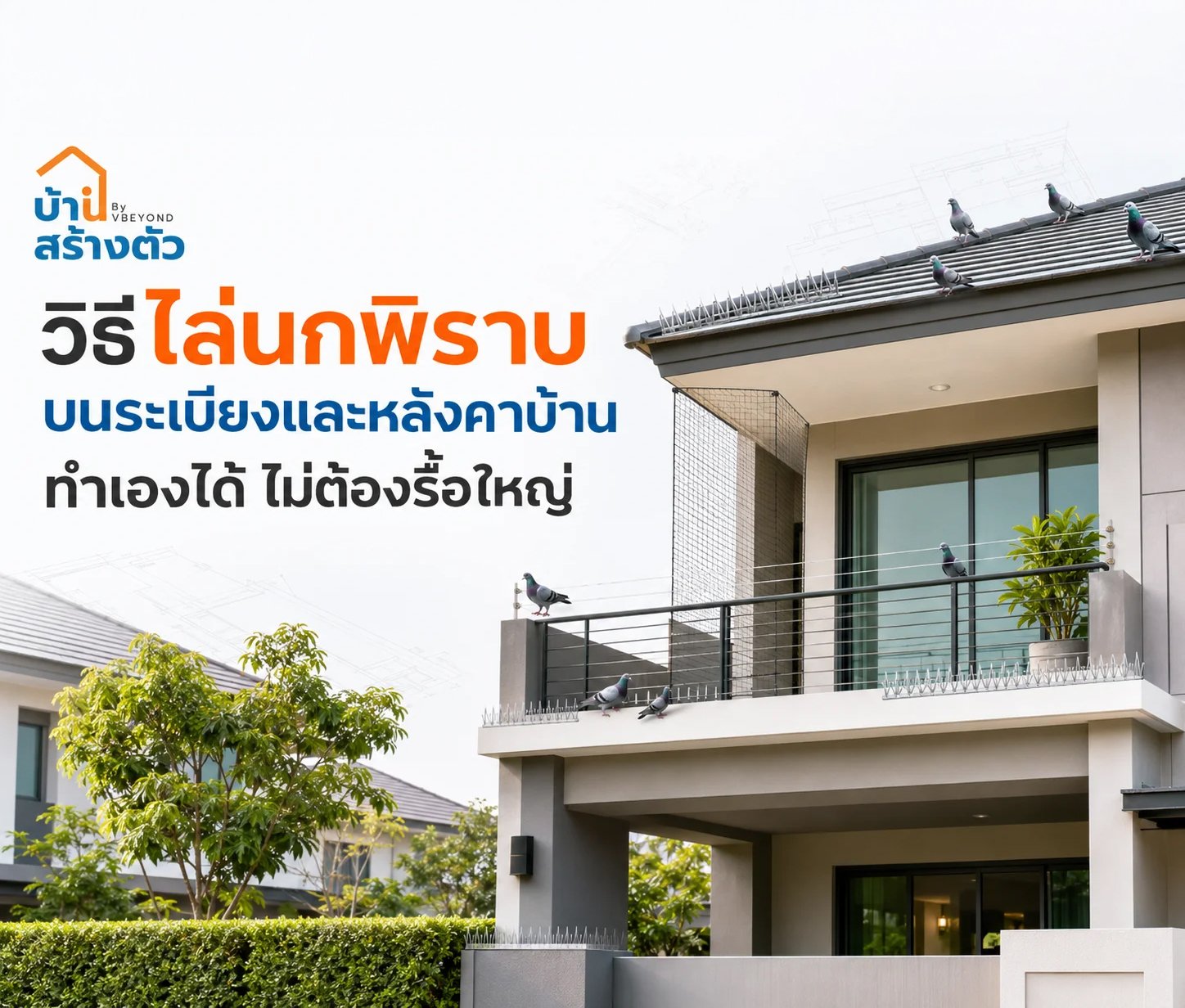 วิธีไล่นกพิราบบนระเบียงและหลังคาบ้าน ทำเองได้ ไม่ต้องรื้อใหญ่