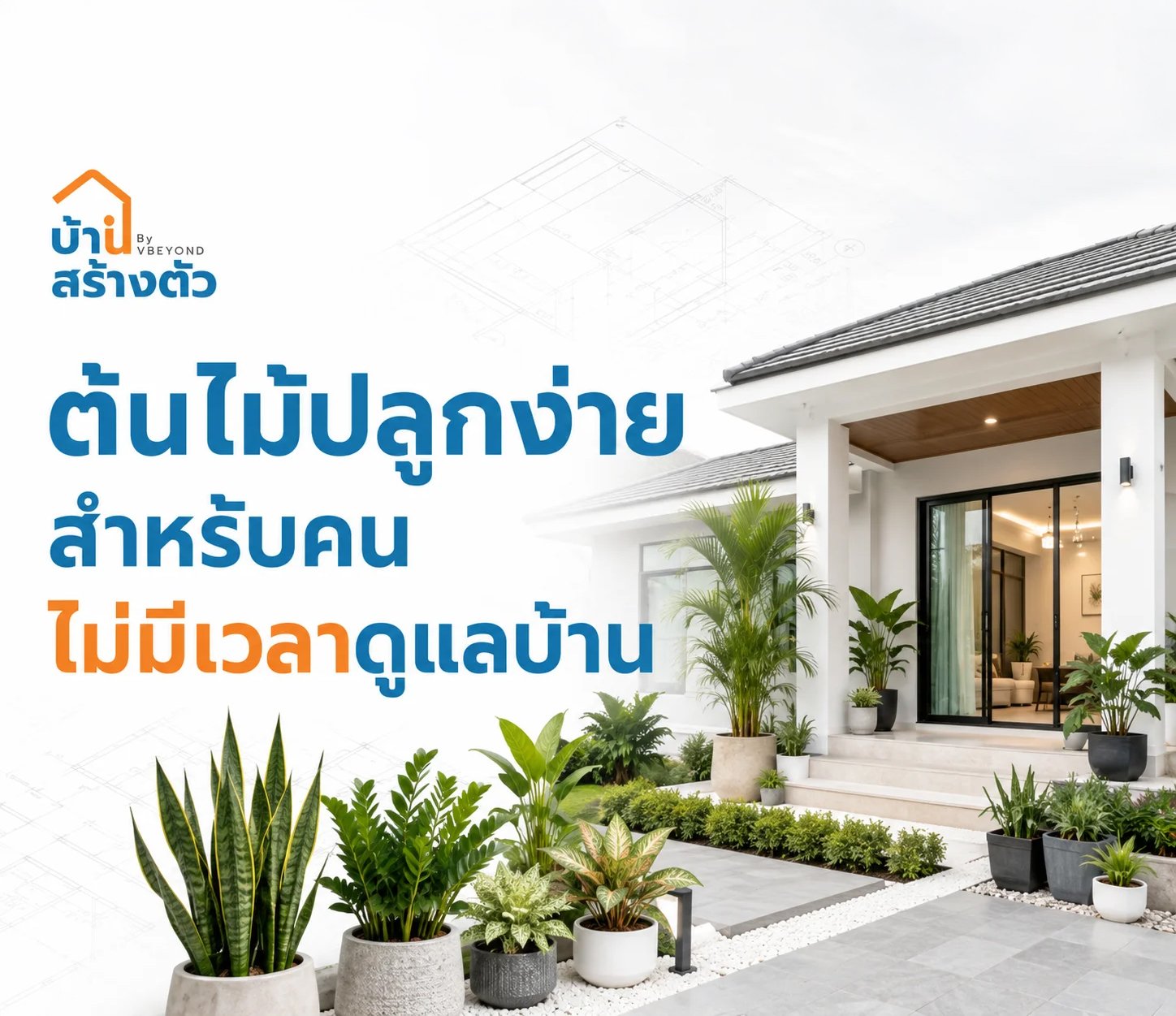 ต้นไม้ปลูกง่ายสำหรับคนไม่มีเวลาดูแลบ้าน เปลี่ยนบ้านให้สดชื่นแบบไม่ต้องดูแลเยอะ