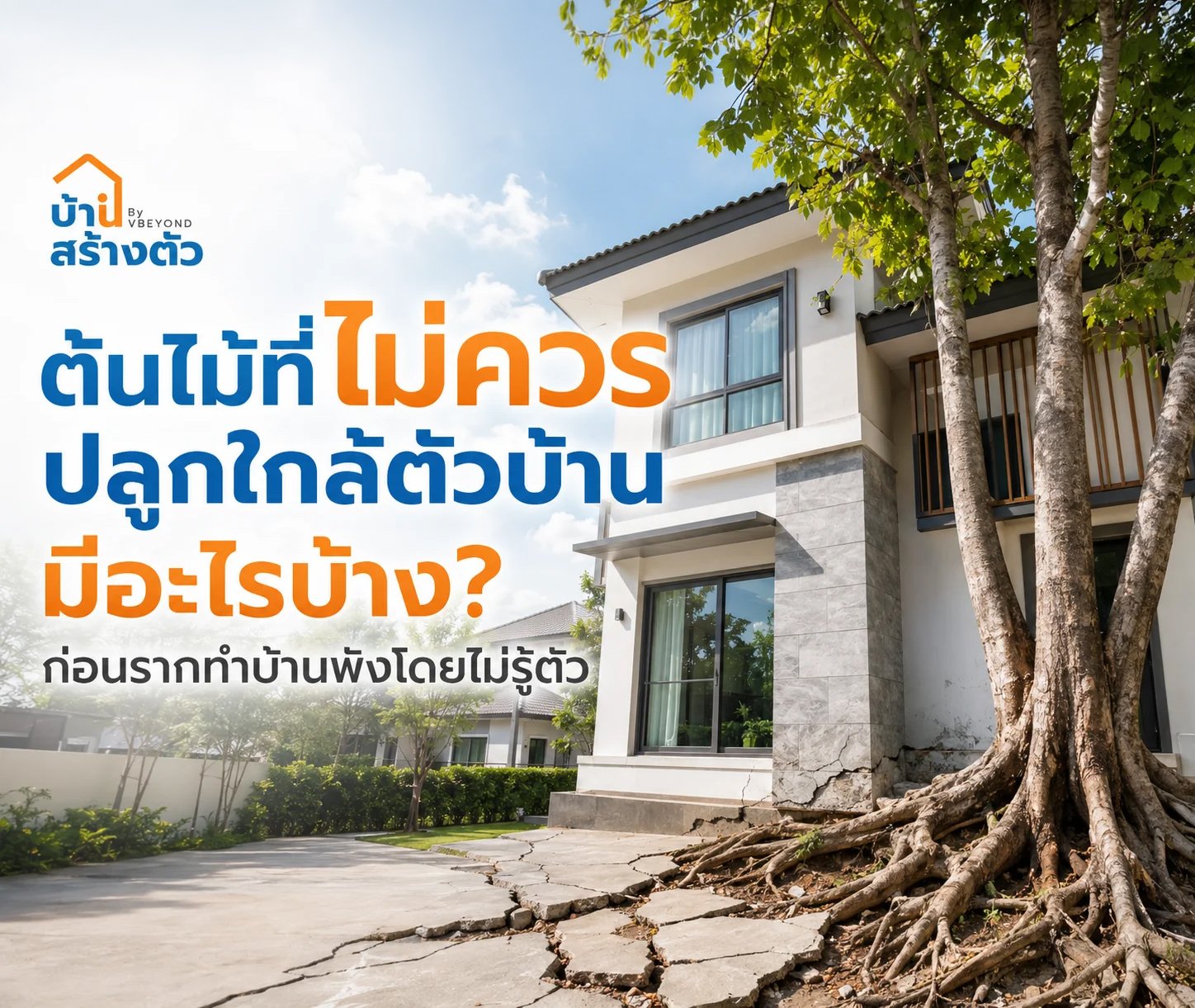 ต้นไม้ที่ไม่ควรปลูกใกล้ตัวบ้าน มีอะไรบ้าง? ก่อนรากทำบ้านพังโดยไม่รู้ตัว