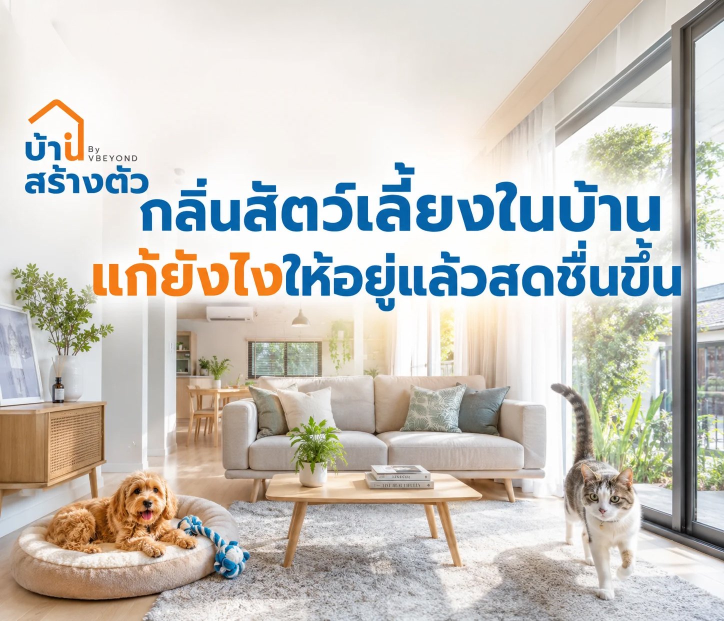กลิ่นสัตว์เลี้ยงในบ้าน แก้ยังไงให้อยู่แล้วสดชื่นขึ้น