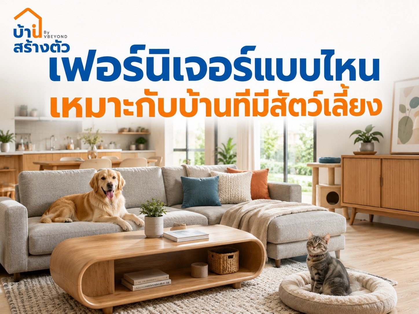 เฟอร์นิเจอร์แบบไหนเหมาะกับบ้านที่มีสัตว์เลี้ยง? เลือกให้สวย ทน และดูแลง่าย